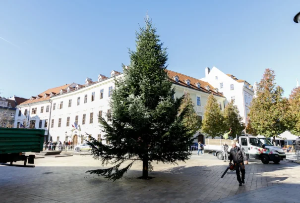 Felállították az idei karácsonyfát a pozsonyi Fő téren