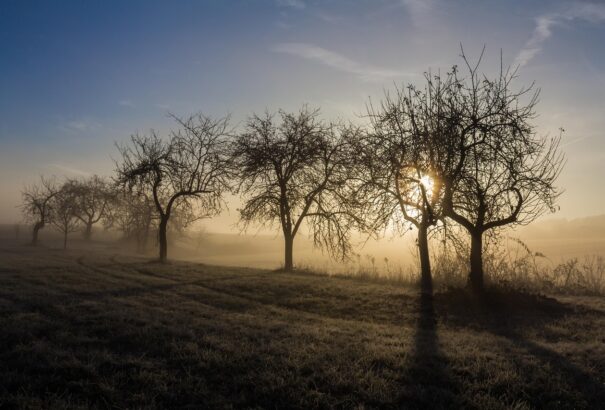 Enyhülés és szakadozó felhőzet: ilyen idő vár ránk szerdán