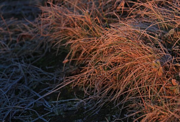 Hétfőn megérkeznek a kemény fagyok, északon havazás várható