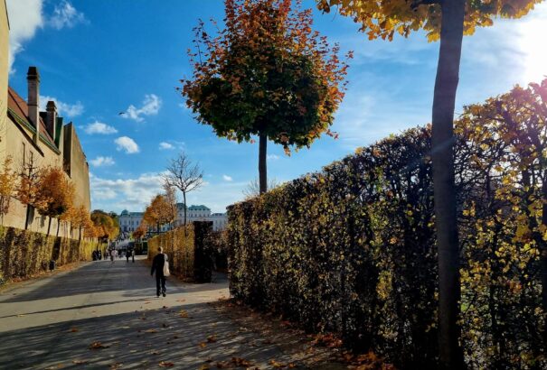 Felhős, de meleg, szélcsendes időnk lesz