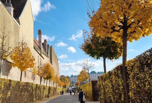 Miért változtatják színüket a levelek ősszel? A természet egyik legszebb rejtélye