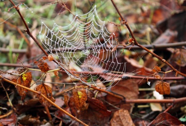 Felhős és ködös lesz a kedd, elszórtan csapadék